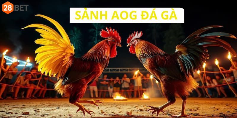 Quy trình tham gia vào sân chơi giải trí uy tín dễ dàng nhất Quy trình tham gia vào sân chơi giải trí uy tín dễ dàng nhất