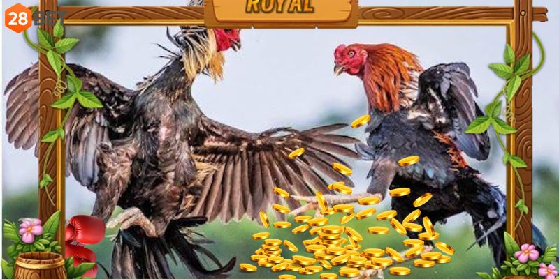 Tìm hiểu cơ bản sân chơi WS168 và 28BET