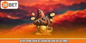 Bí Kíp Chọn Chiến Kê Chuẩn Khi Chơi Đá Gà 28BET