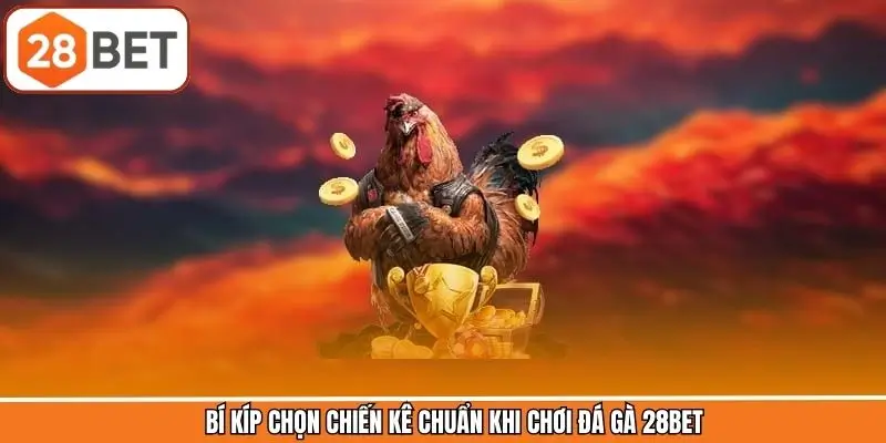 Bí Kíp Chọn Chiến Kê Chuẩn Khi Chơi Đá Gà 28BET