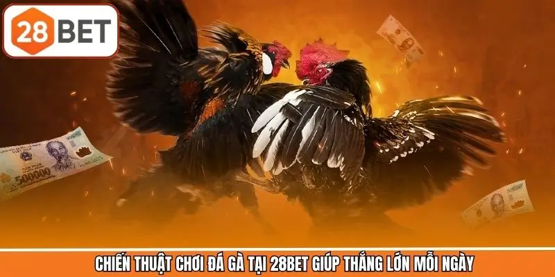 Chiến Thuật Chơi Đá Gà Tại 28BET Giúp Thắng Lớn Mỗi Ngày
