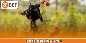 Kinh Nghiệm Đặt Cược Đá Gà 28BET Không Lo Thua Lỗ