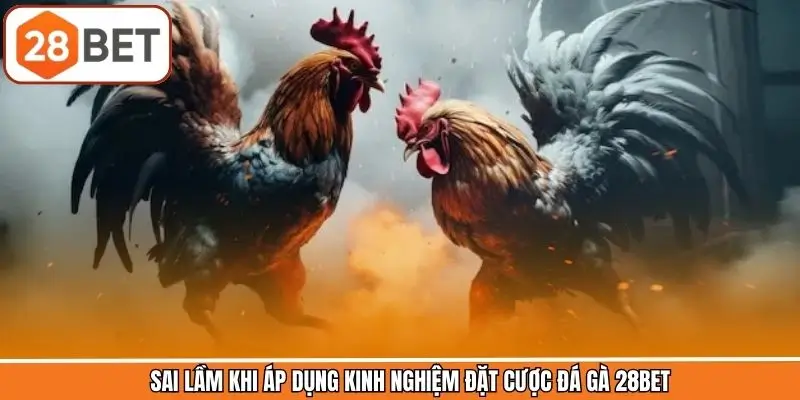 Sai lầm khi áp dụng kinh nghiệm đặt cược đá gà 28BET