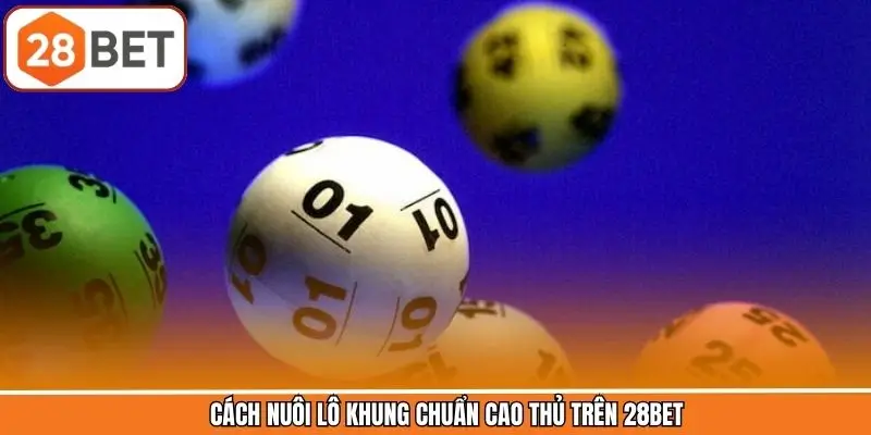 Cách Nuôi Lô Khung Chuẩn Cao Thủ Trên 28BET