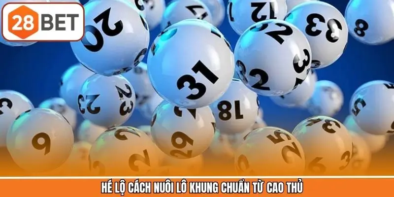 Tổng hợp cách nuôi lô khung chuẩn từ cao thủ
